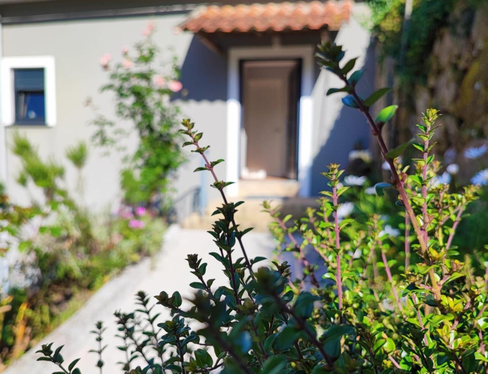 הוילה Cevide Casa 1883 מראה חיצוני תמונה